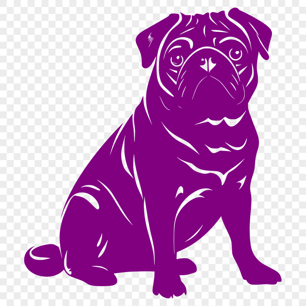 Stunning Pug SVG, PNG, PDF And DXF Files