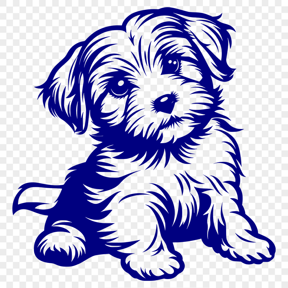 Free Free Havanese Digital Drawing