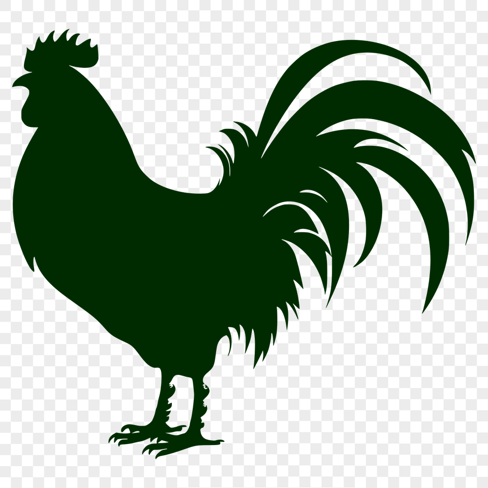 Creative Rooster PDF