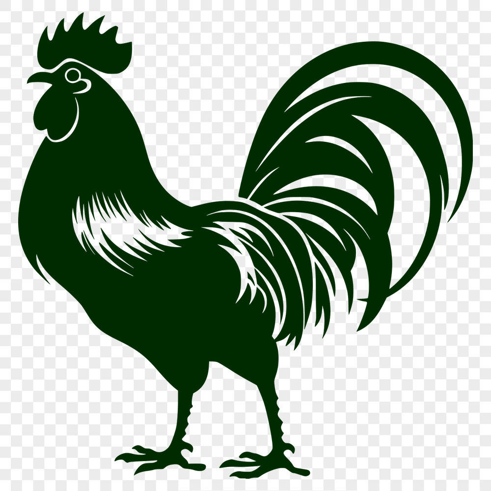 Unique Rooster - For Vinyl Project