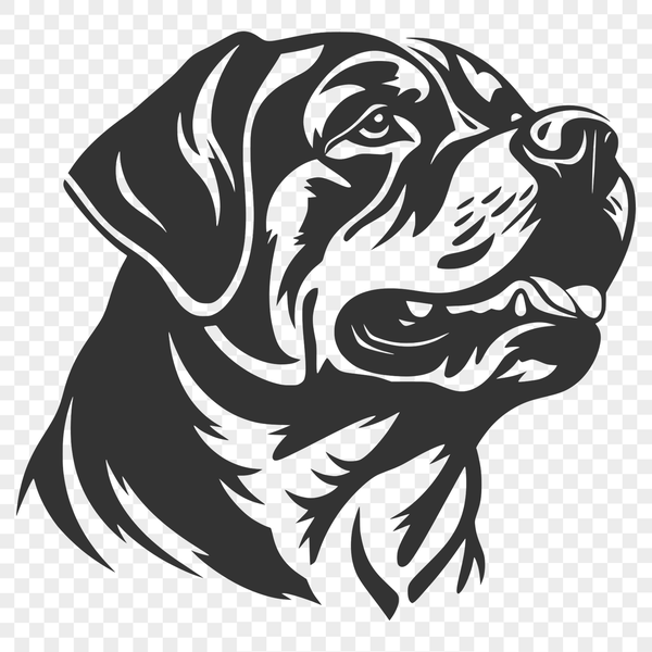 A close-up view of a Rottweiler's head, depicted in vector format.