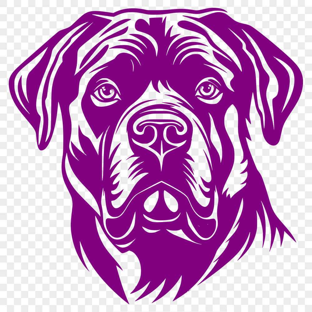 Beautiful Rottweiler PNG