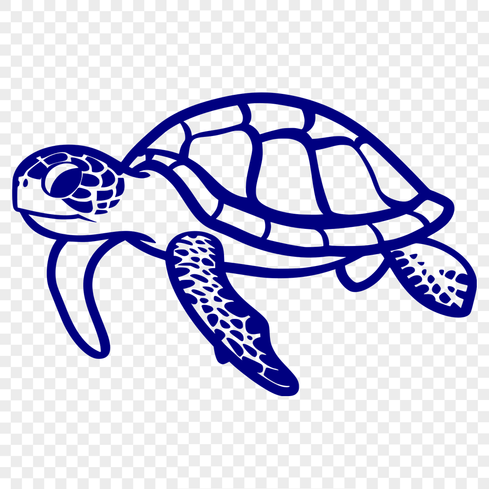 Creative Sea Turtle Drawing