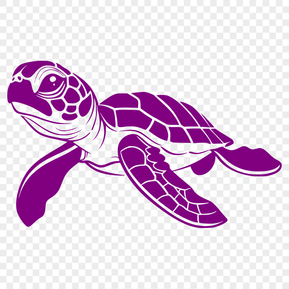 Artistic Sea Turtle PNG