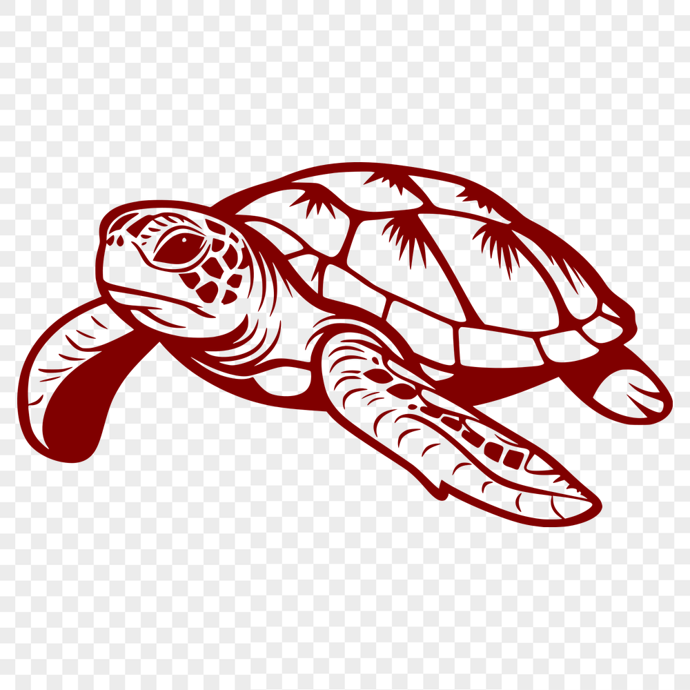 Beautiful Sea Turtle Vector Drawing