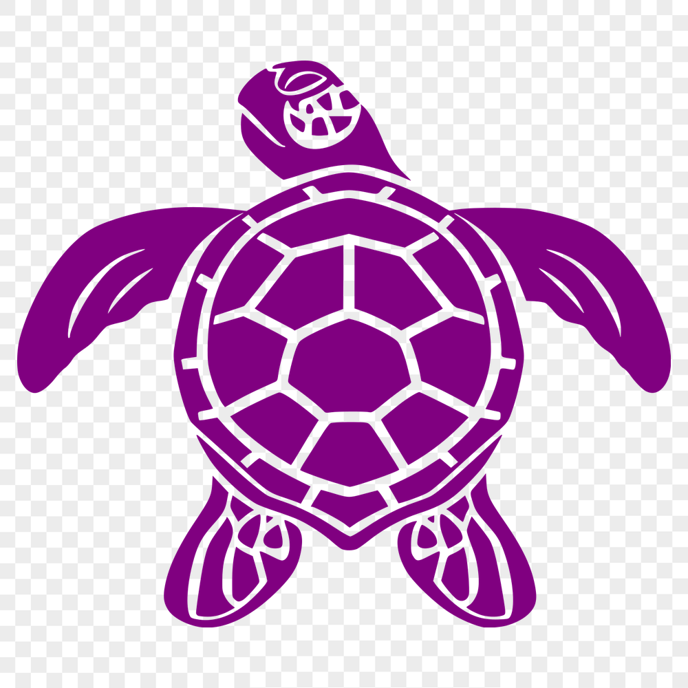 Free Artistic Sea Turtle Clip Art