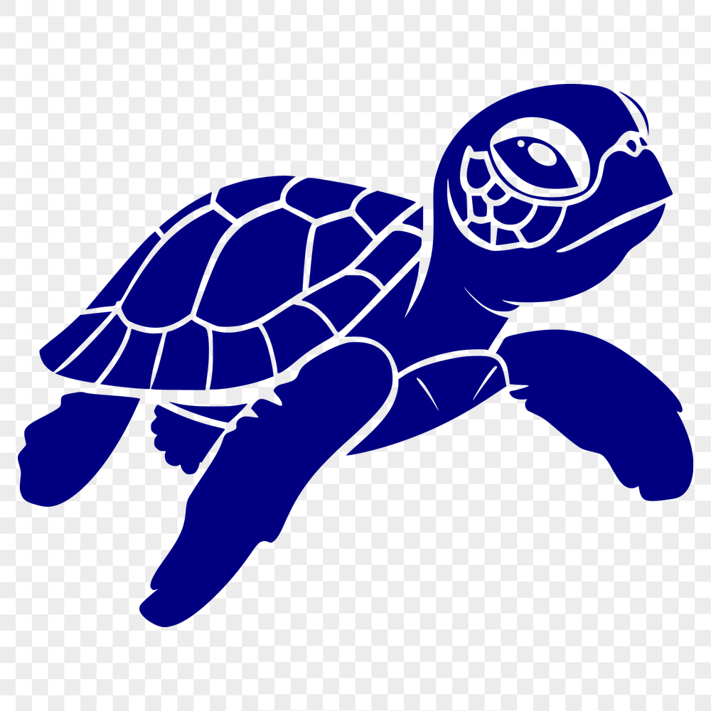 Free Beautiful Sea Turtle Illustration