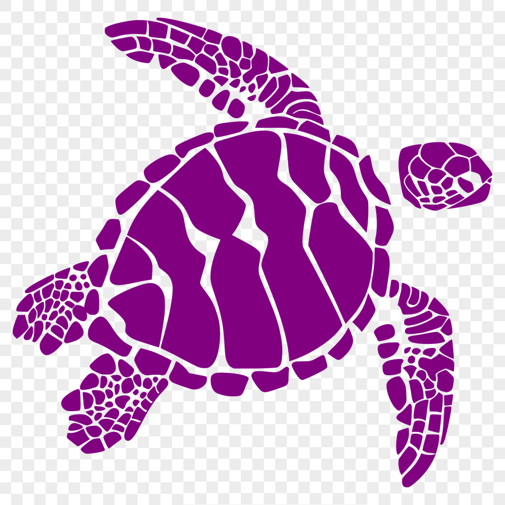 Beautiful Sea Turtle - For Vinyl Project