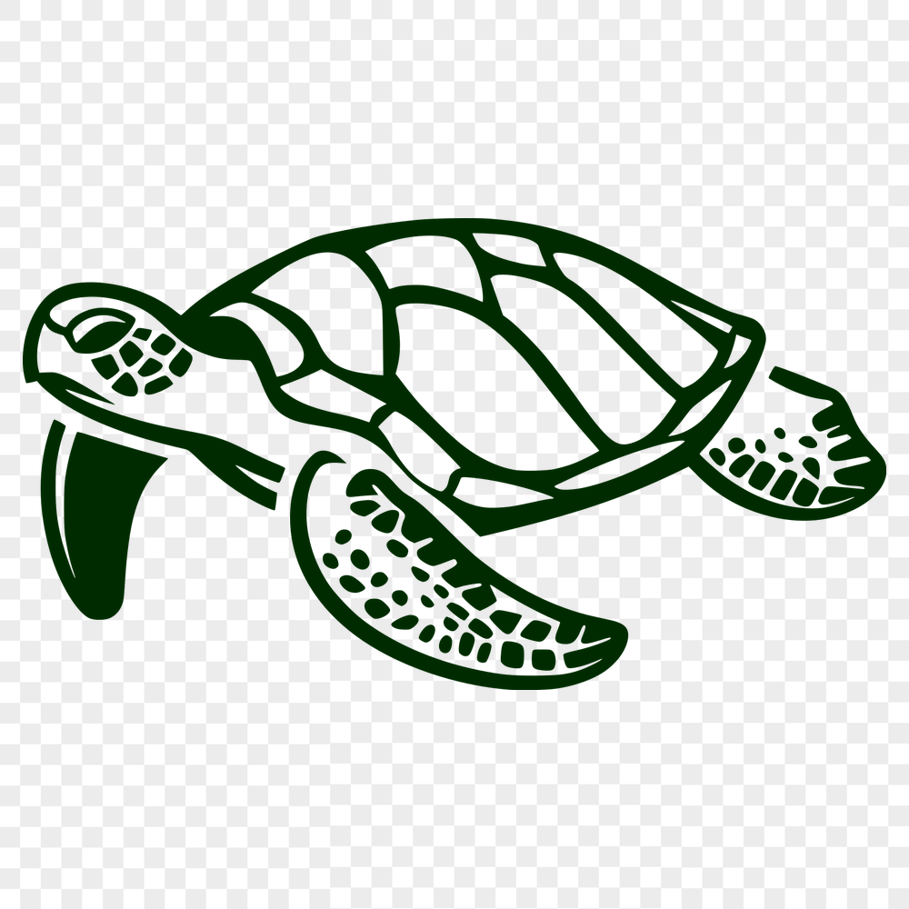 Unique Sea Turtle SVG