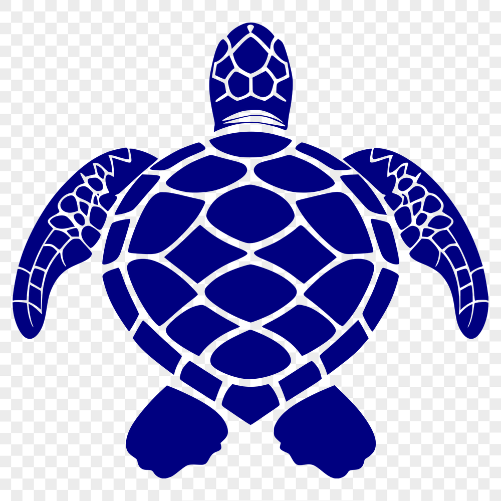 Unique Sea Turtle Drawing