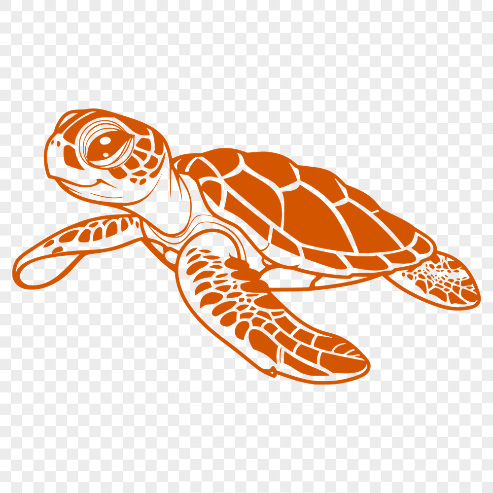 Creative Sea Turtle Artwork