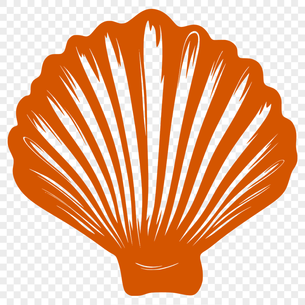 Stunning Seashell Template In PNG For Free Download