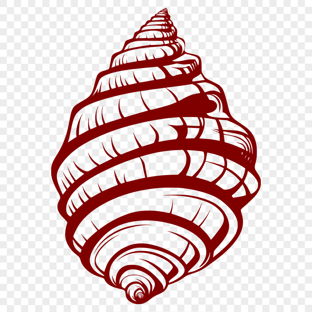 Artistic Seashell In DXF - Free Digital Download