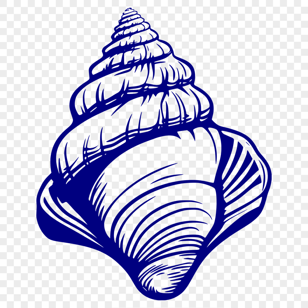 Free Unique Seashell Vector Illustration DXF - Commercial Use