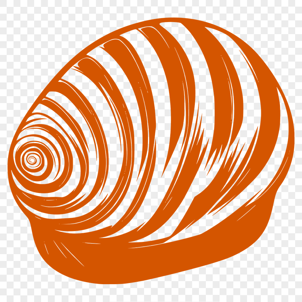 Artistic Seashell In DXF For Free Download