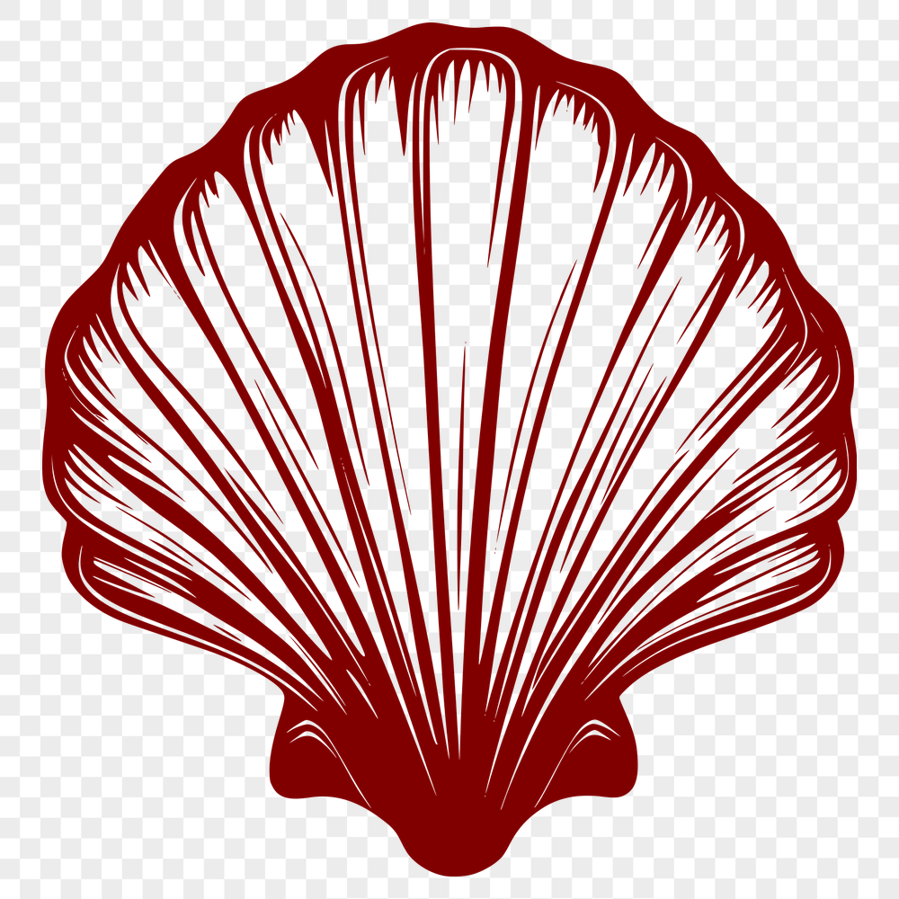 Artistic Seashell In PNG - For Free Download, Commercial Use