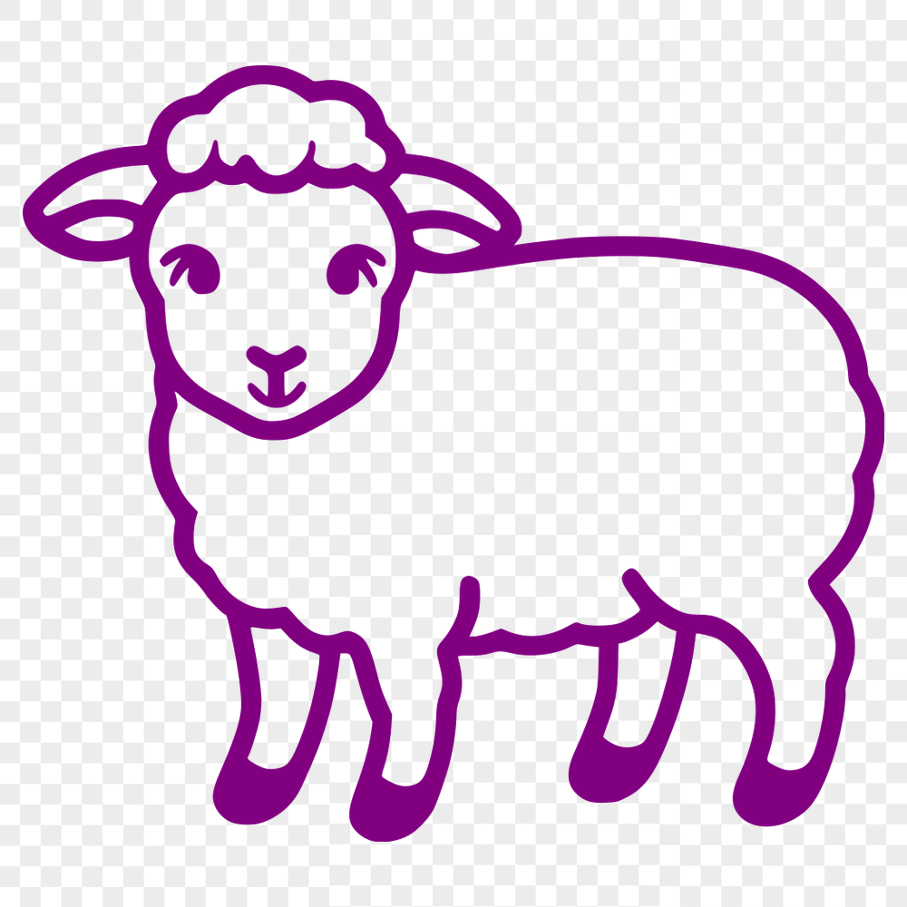 Unique Sheep Illustration