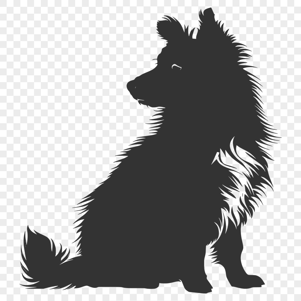 Free Free Shetland Sheepdog Image