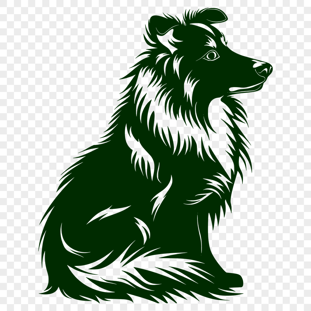 Sitting Shetland Sheepdog PNG