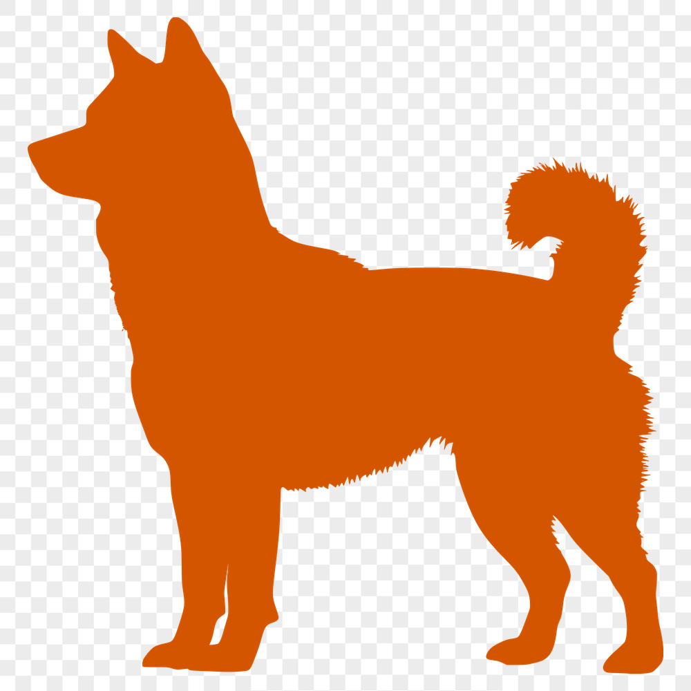 Free Standing Dog Illustration