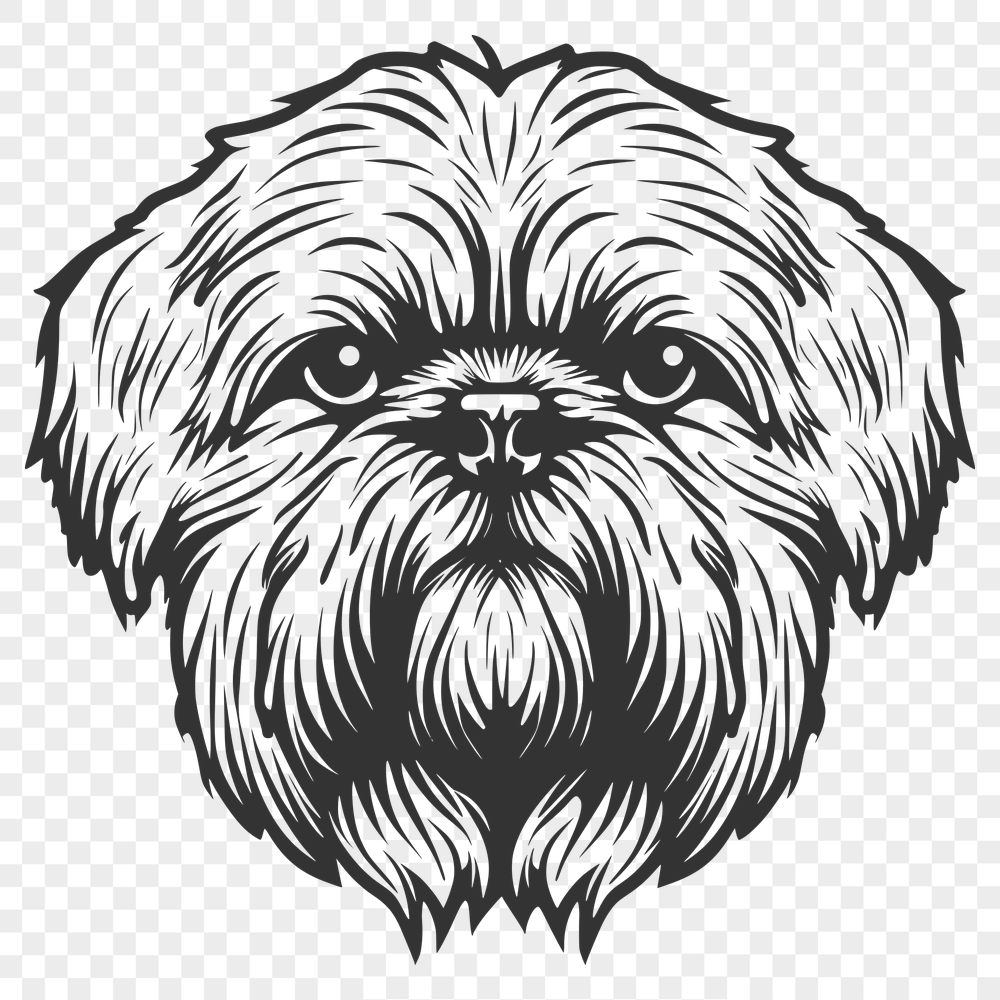 Free Unique Shih Tzu Drawing