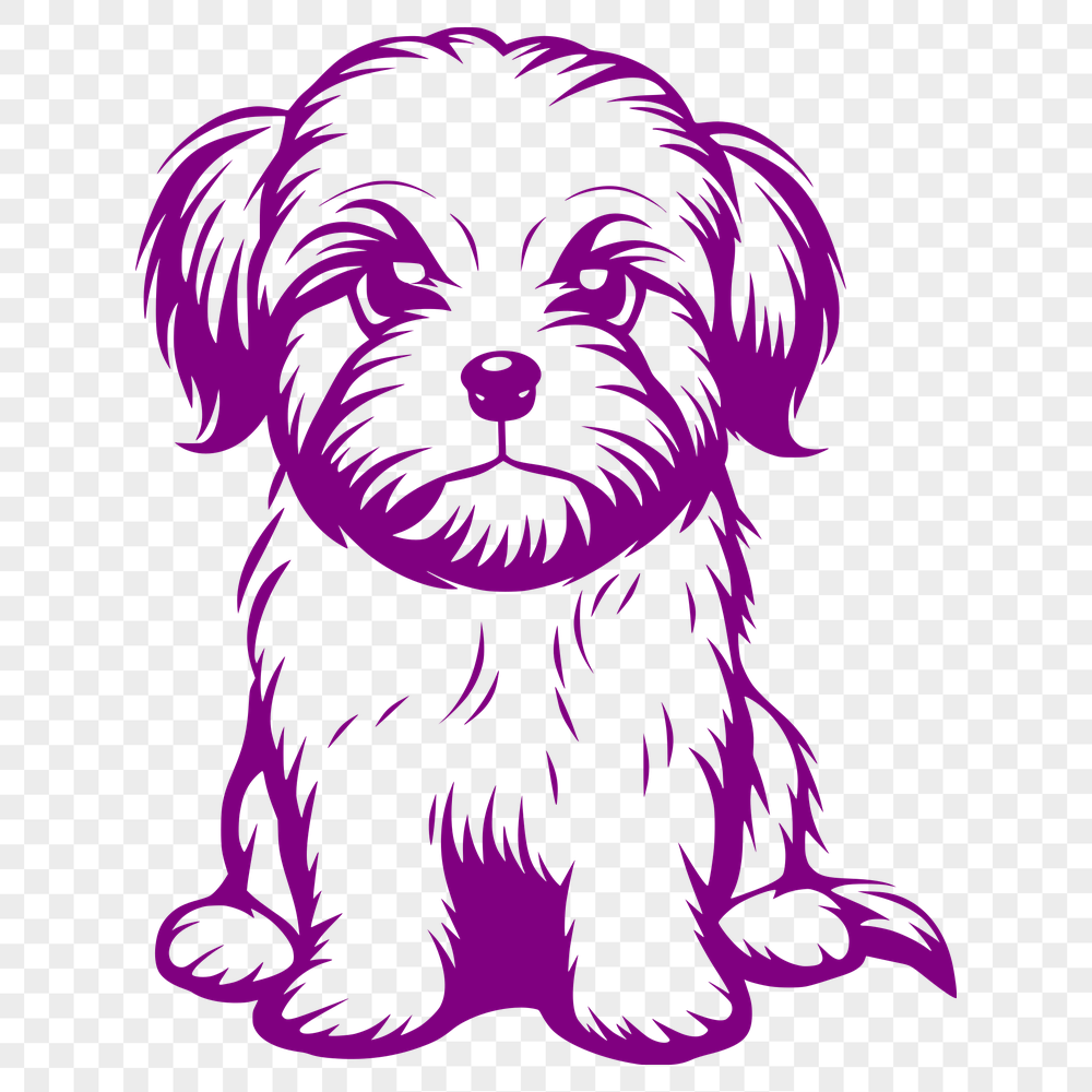 Unique Sitting Shih Tzu - PNG