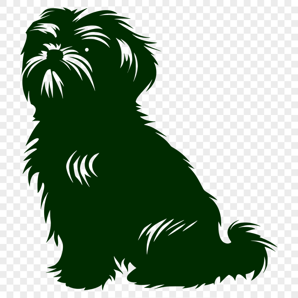 Stunning Shih Tzu Design