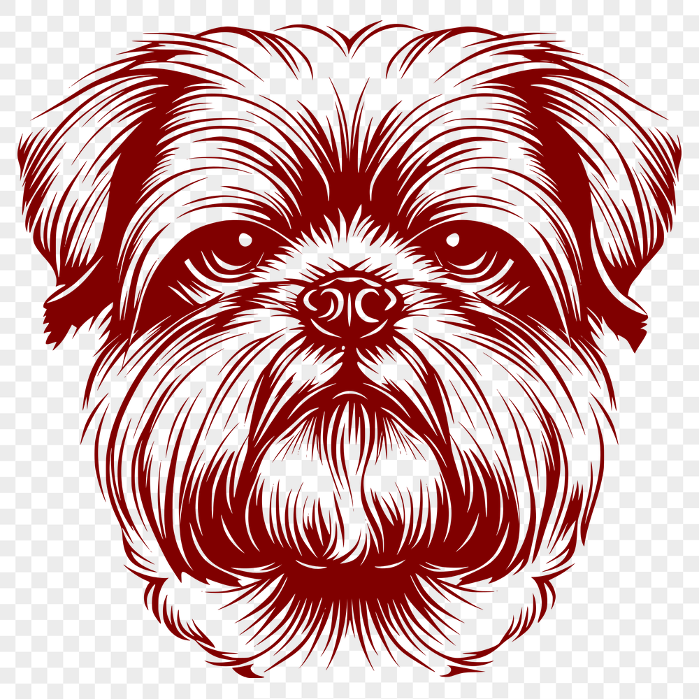 Beautiful Shih Tzu Vector Illustration