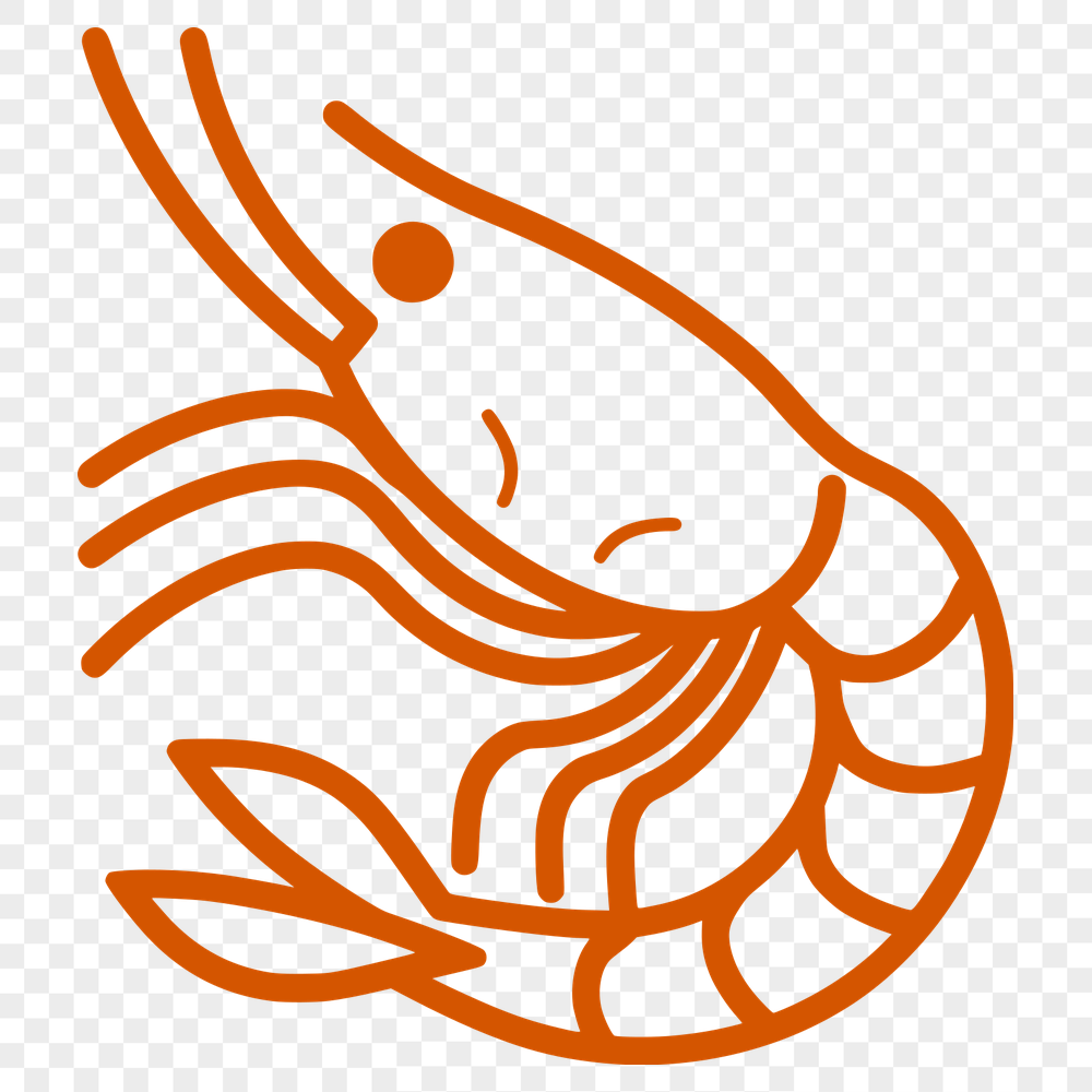 Unique Shrimp PNG