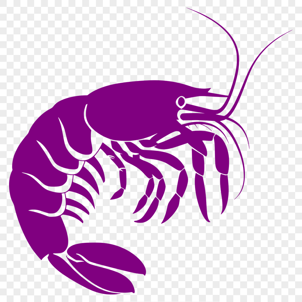 Unique Prawn Decal