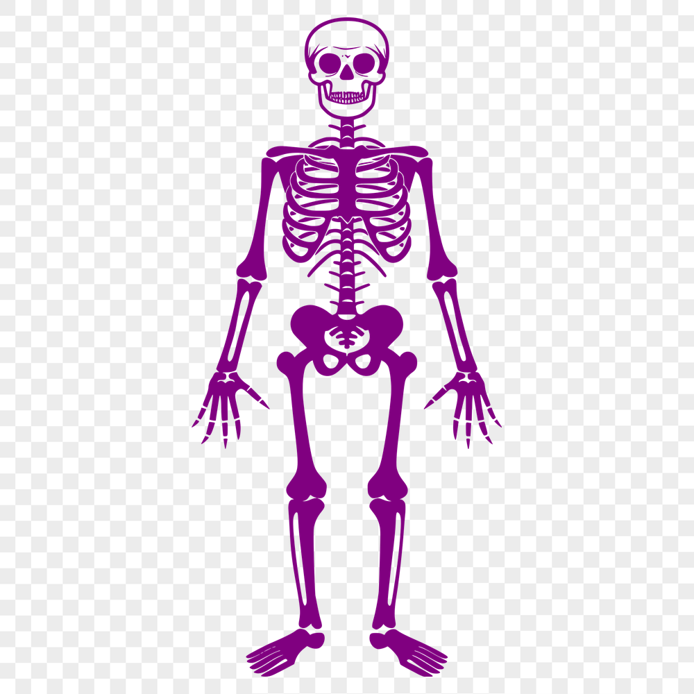 Unique Human Body In SVG - Digital Download