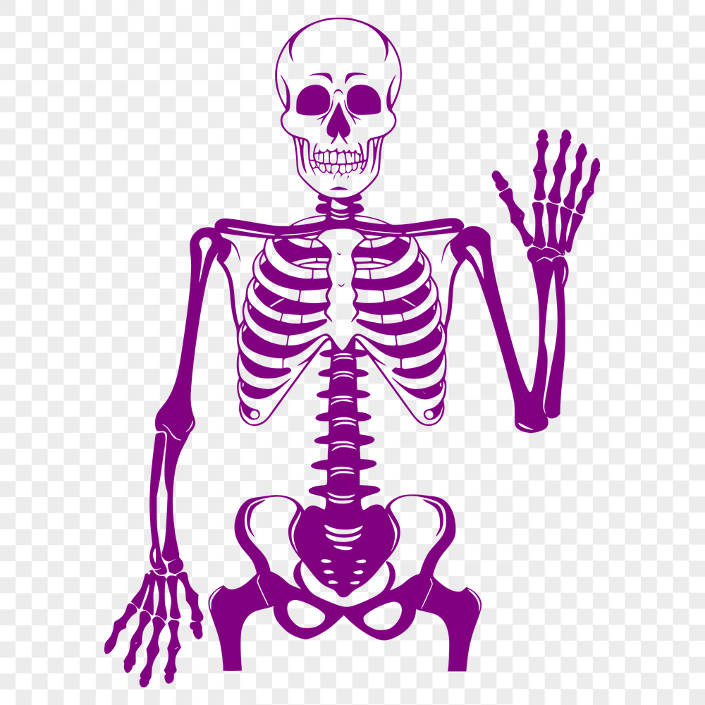 Standing Skeleton Printable Image - SVG Free Download