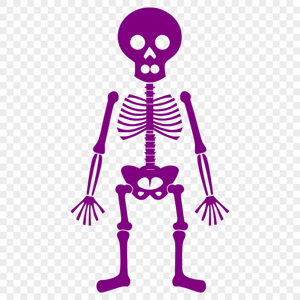 Stunning Skeleton In PDF Free Commercial Use Download