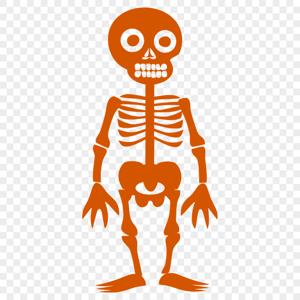 Skeleton Clipart In PDF File Format For Free Download