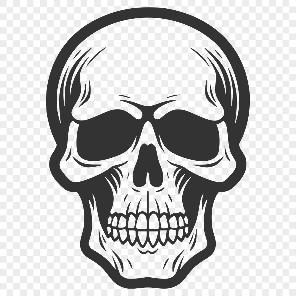 Unique Skull Vector Image