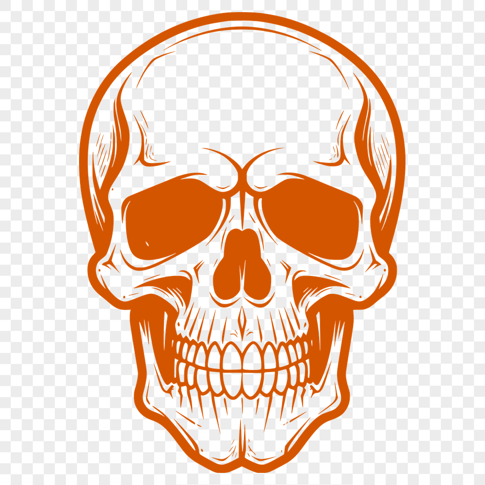 Creative Skull Vector Image