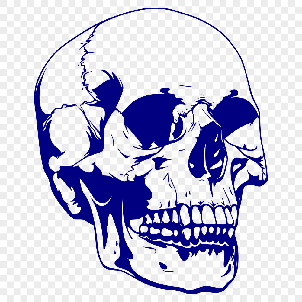 Free Skull Digital Art