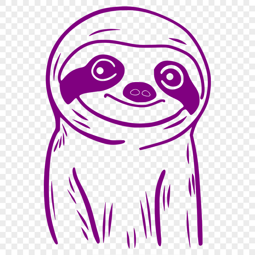 Unique Sloth Illustration