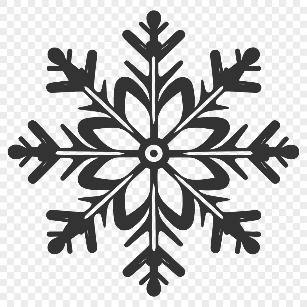 Unique Snowflake Image