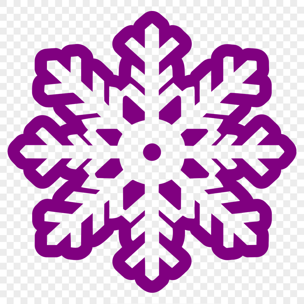 Beautiful Snowflake Vector Drawing