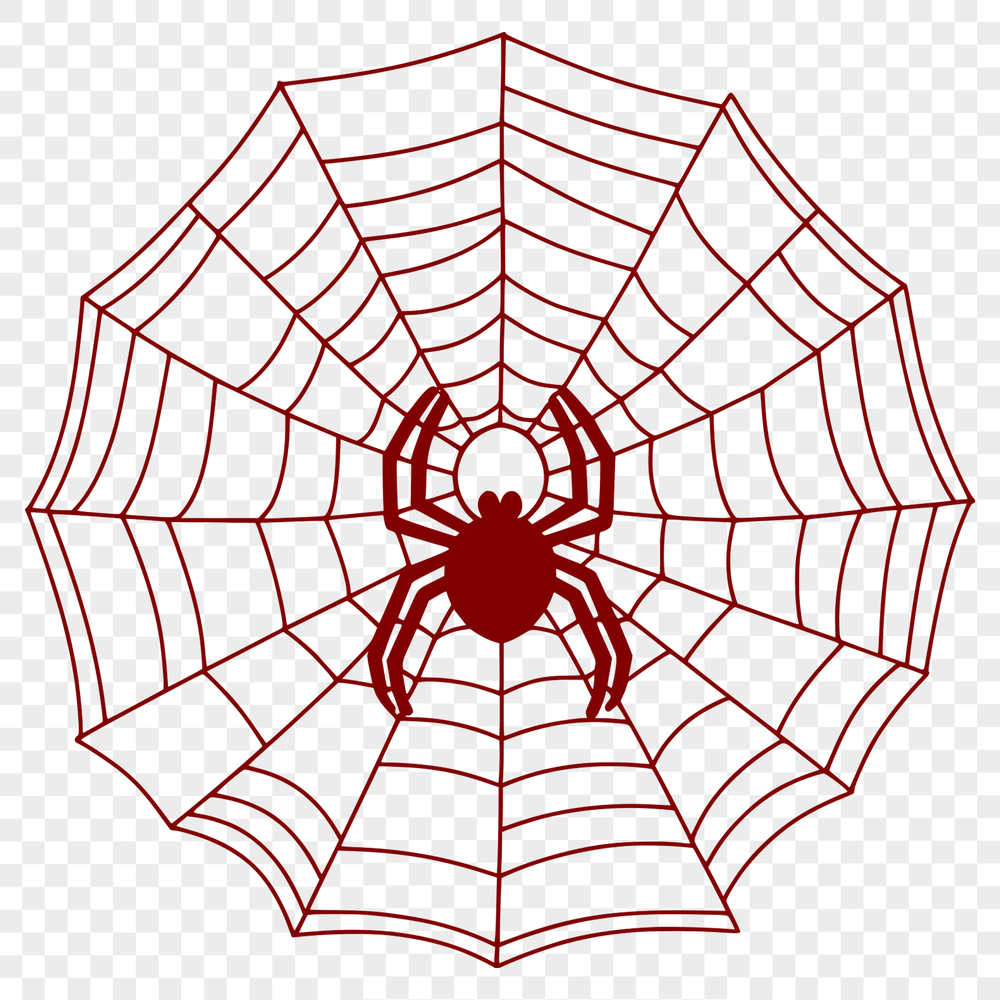 Whimsical Web Design A delicate, intricate web pattern made by a spider, designed as a vector graphic.
