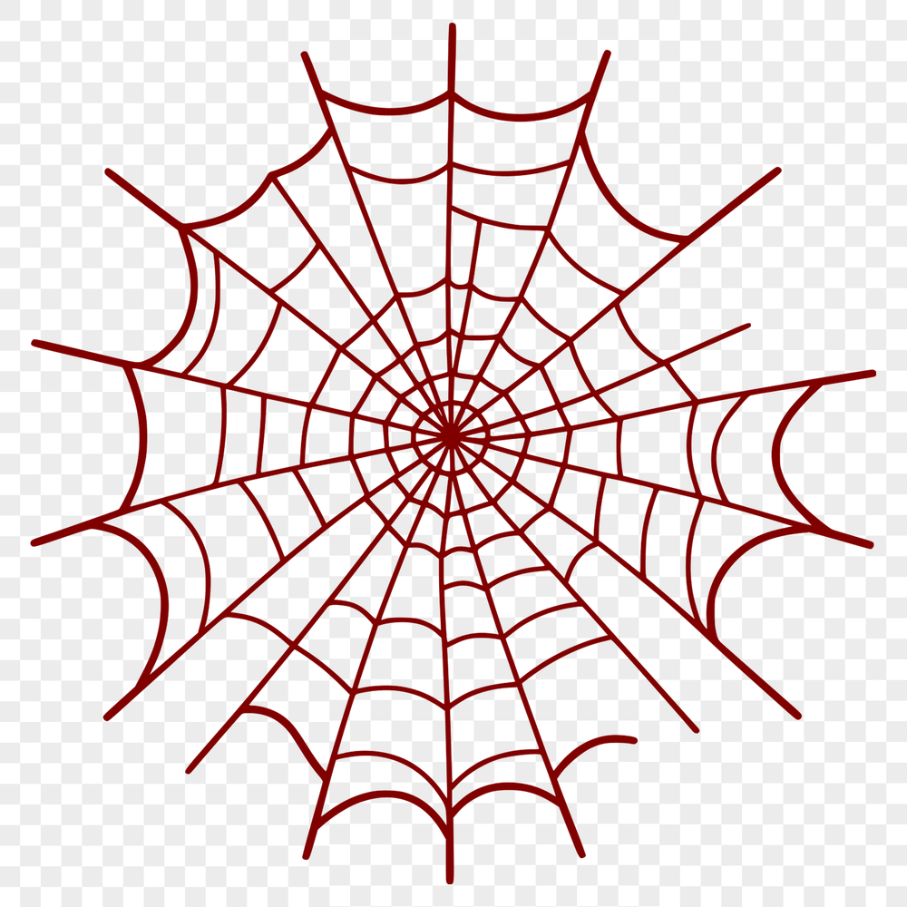 A high-quality vector illustration of a delicate spider web.