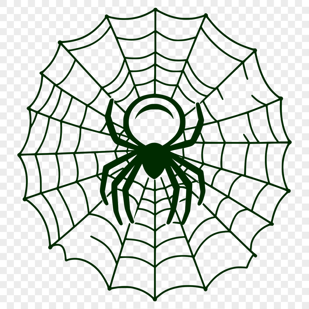 Delicate Spider Web Illustration Illustration of a detailed spider web with intricate patterns, suitable for vector graphics design.