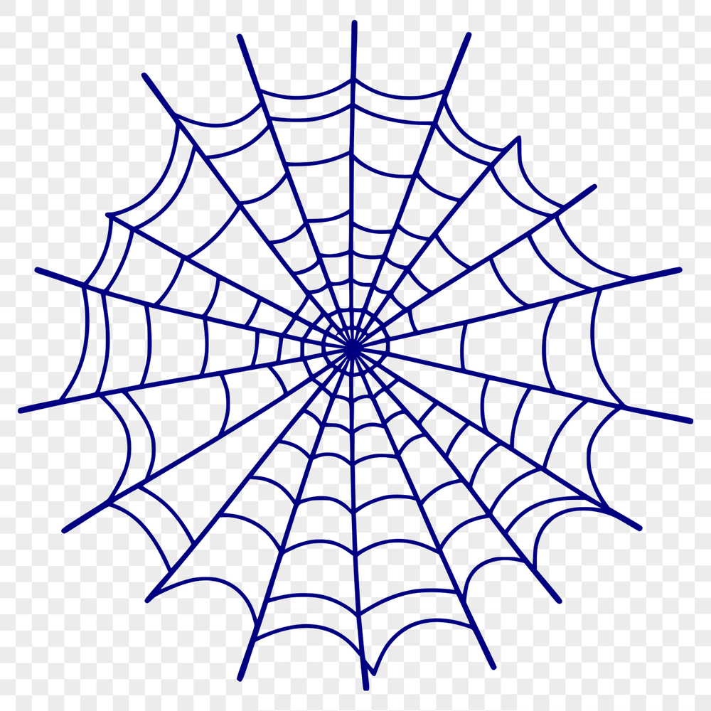 A delicate spider web design created using vector art techniques.
