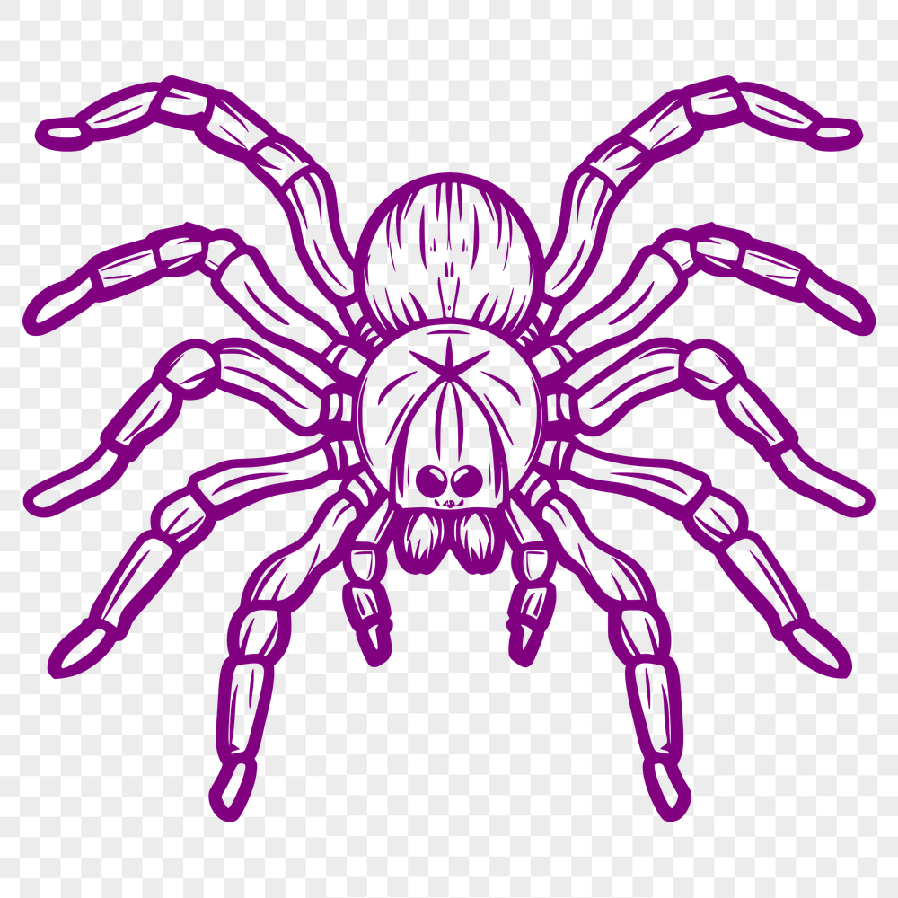 Creative Spider - For Laser Cutter Project