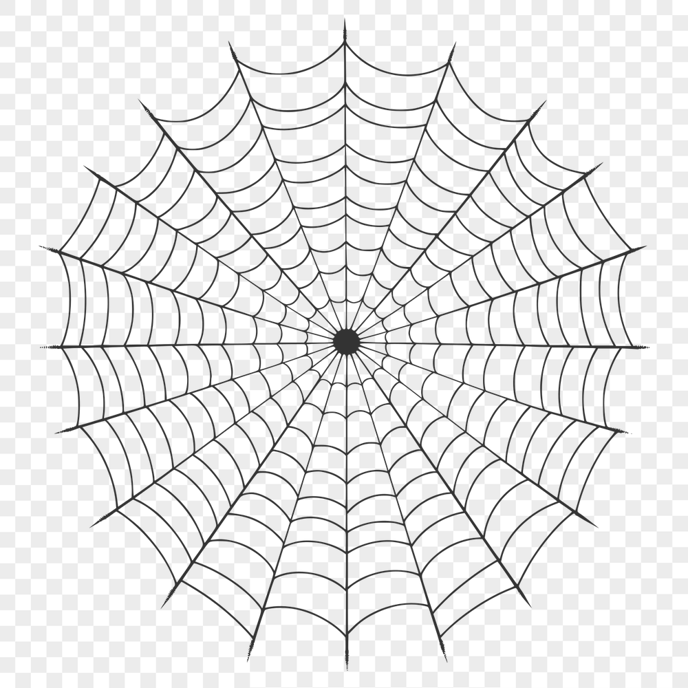 Unique Spider Web Illustration