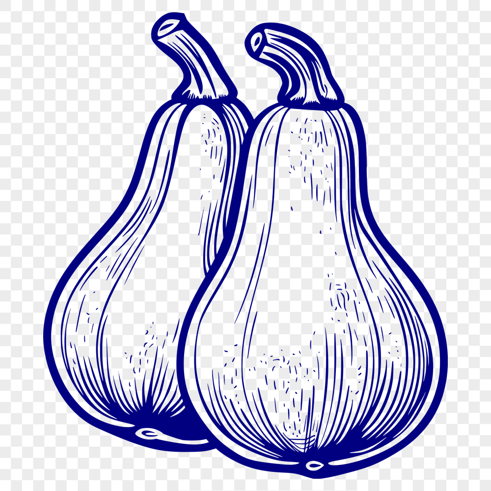 Free Stunning Squash Vector Craft File