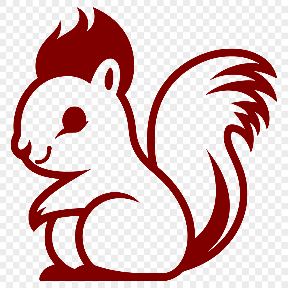 Stunning Squirrel - For Sublimation Project