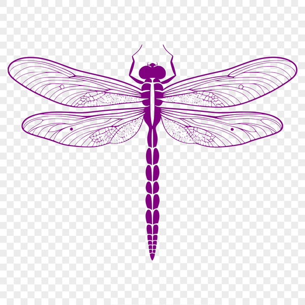 Beautiful Mid-Flyer Dragonfly Illustration A detailed illustration of a dragonfly in mid-flight, suitable for vector graphics.