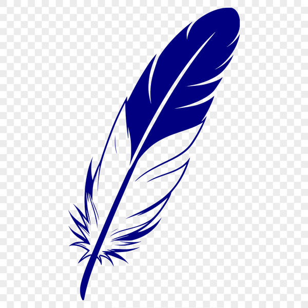 A single feather with detailed lines and curves, suitable for vector design.